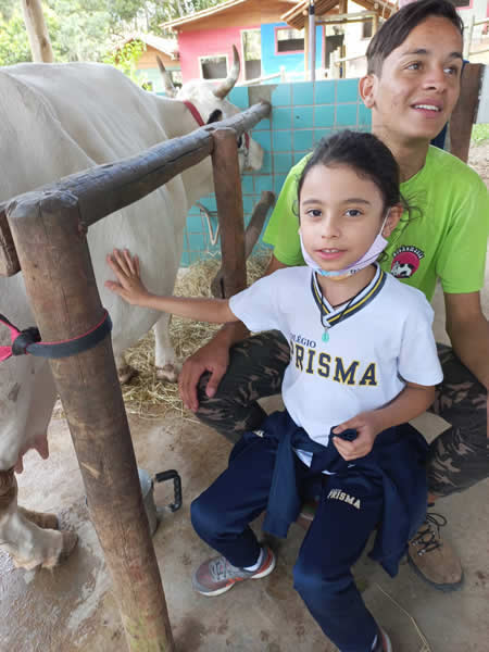 Bicho Mania 2022